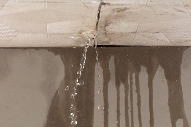 Professional Burst Pipe Cleanup technician working in Centerville, IN